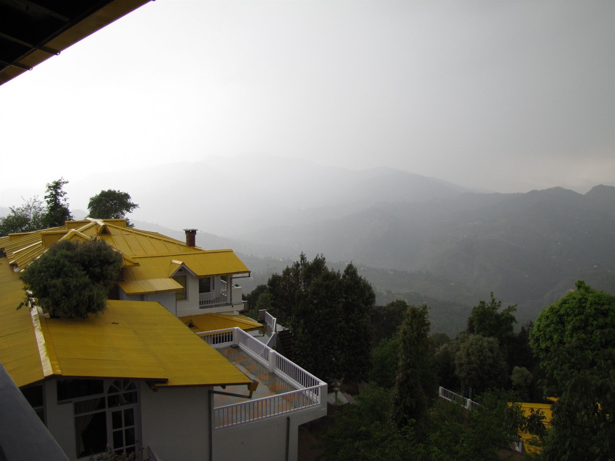 Te Aroha By Shervani Dhanachuli Buitenkant foto